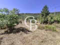 Продава ПАРЦЕЛ, град Варна, м-т Горна Трака • 125000 € • 25501699 — Holmes.bg