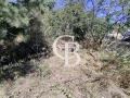 Продава ПАРЦЕЛ, град Варна, м-т Горна Трака • 125000 € • 25501699 — Holmes.bg