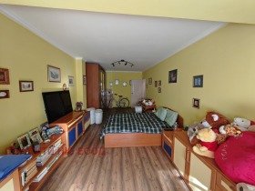 3+ camere da letto Hipodruma, Sofia 11