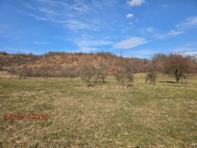 ����� ������� ������,�. ����� �����, ������ �����