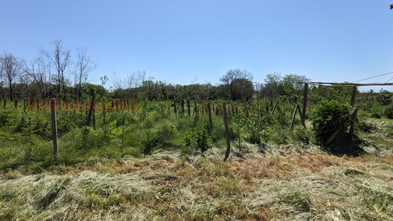 Продава КЪЩА, с. Методиево, област Добрич, снимка 11 - Къщи - 52784981