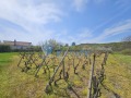 Продава ПАРЦЕЛ, с. Драгижево, област Велико Търново, снимка 13