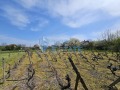 Продава ПАРЦЕЛ, с. Драгижево, област Велико Търново, снимка 15
