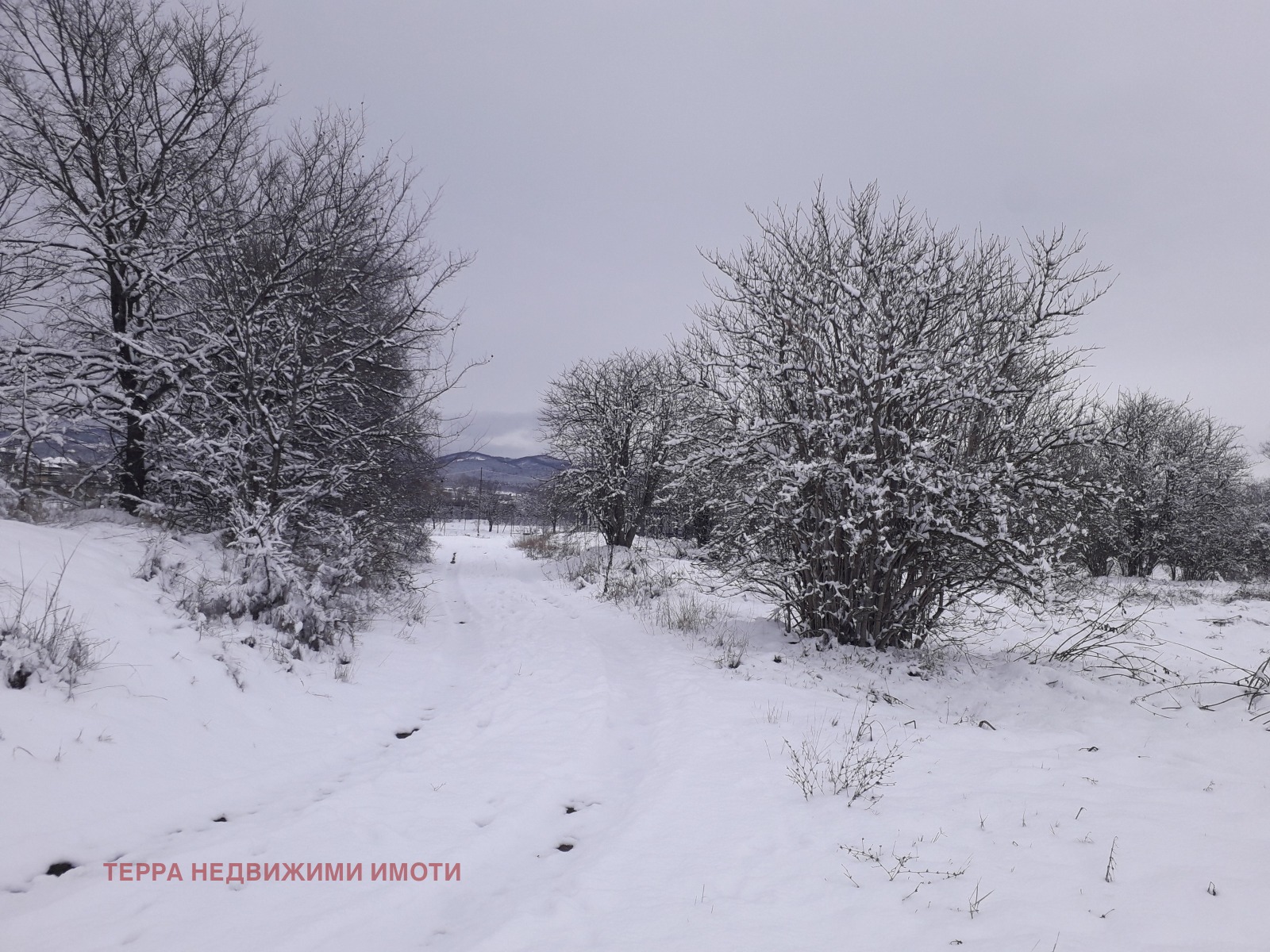 ������� ������ | Imot.bg � ����������� 2