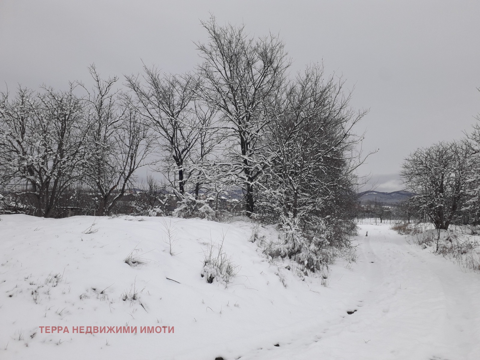 ������� ������ | Imot.bg � ����������� 4