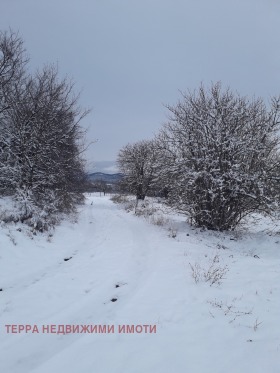 ������� ������ | Imot.bg � ����� ������ 5