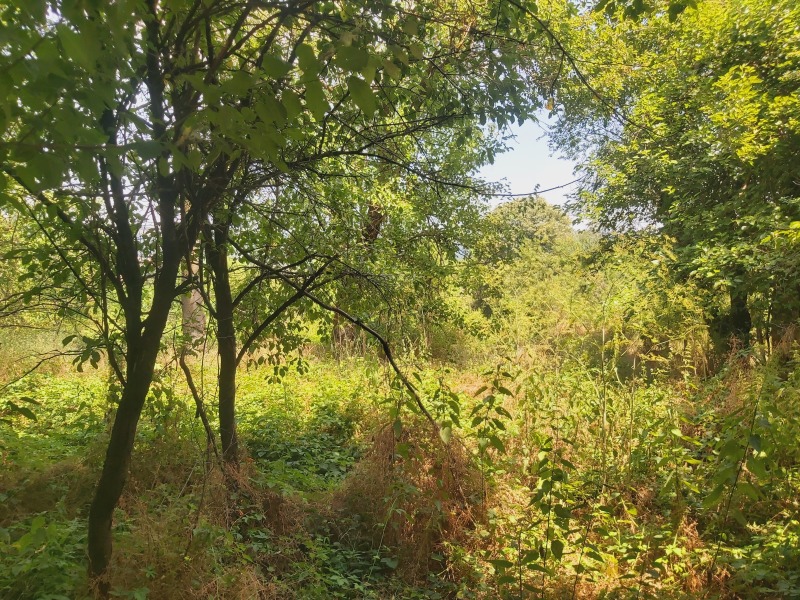 Til salg  Hus region Lovech , Golyama Zhelyazna , 57 kvm | 71048048 - billede [8]