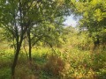 Продава КЪЩА, област Ловеч, с. Голяма Желязна • 55000 лв. • 45460665 — Holmes.bg
