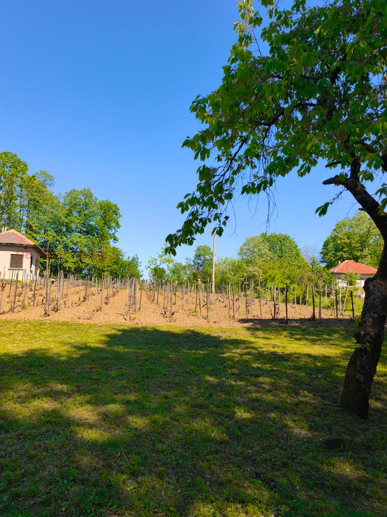 ������� ���� | Imot.bg � ����������� 12