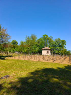 ������� ���� | Imot.bg � ����� ������ 13