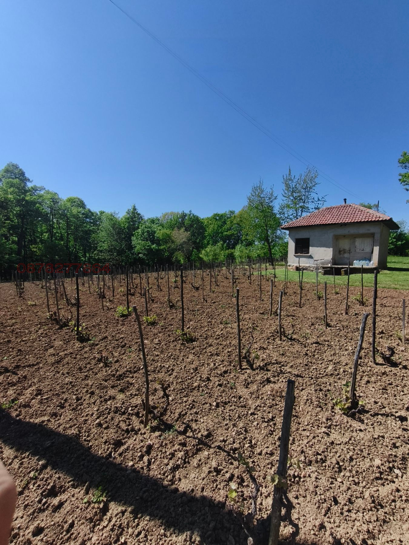 Продава ВИЛА, с. Веслец, област Враца, снимка 16 - Вили - 54333416