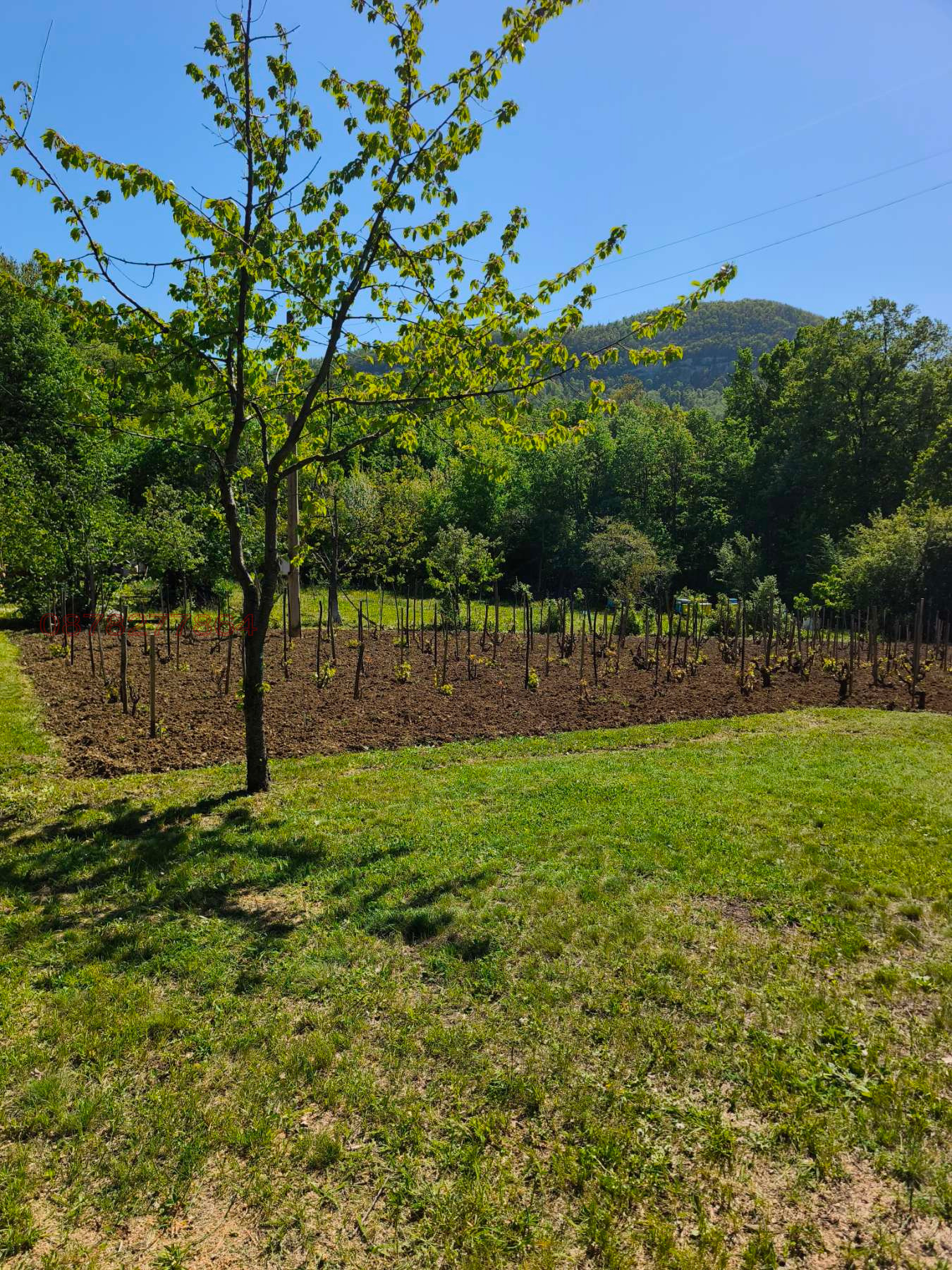 Продава ВИЛА, с. Веслец, област Враца, снимка 3 - Вили - 54333416