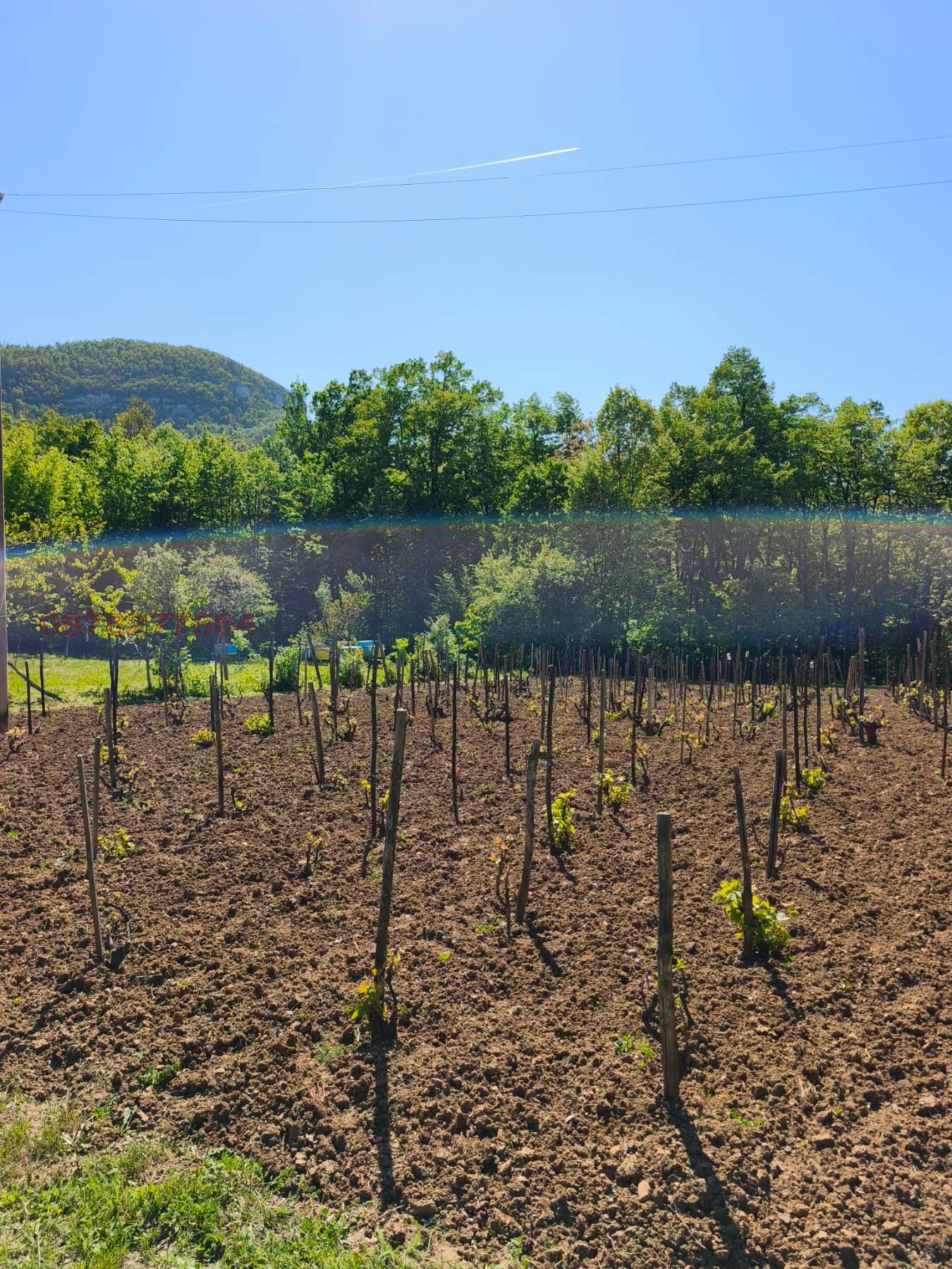 Продава ВИЛА, с. Веслец, област Враца, снимка 2 - Вили - 54333416