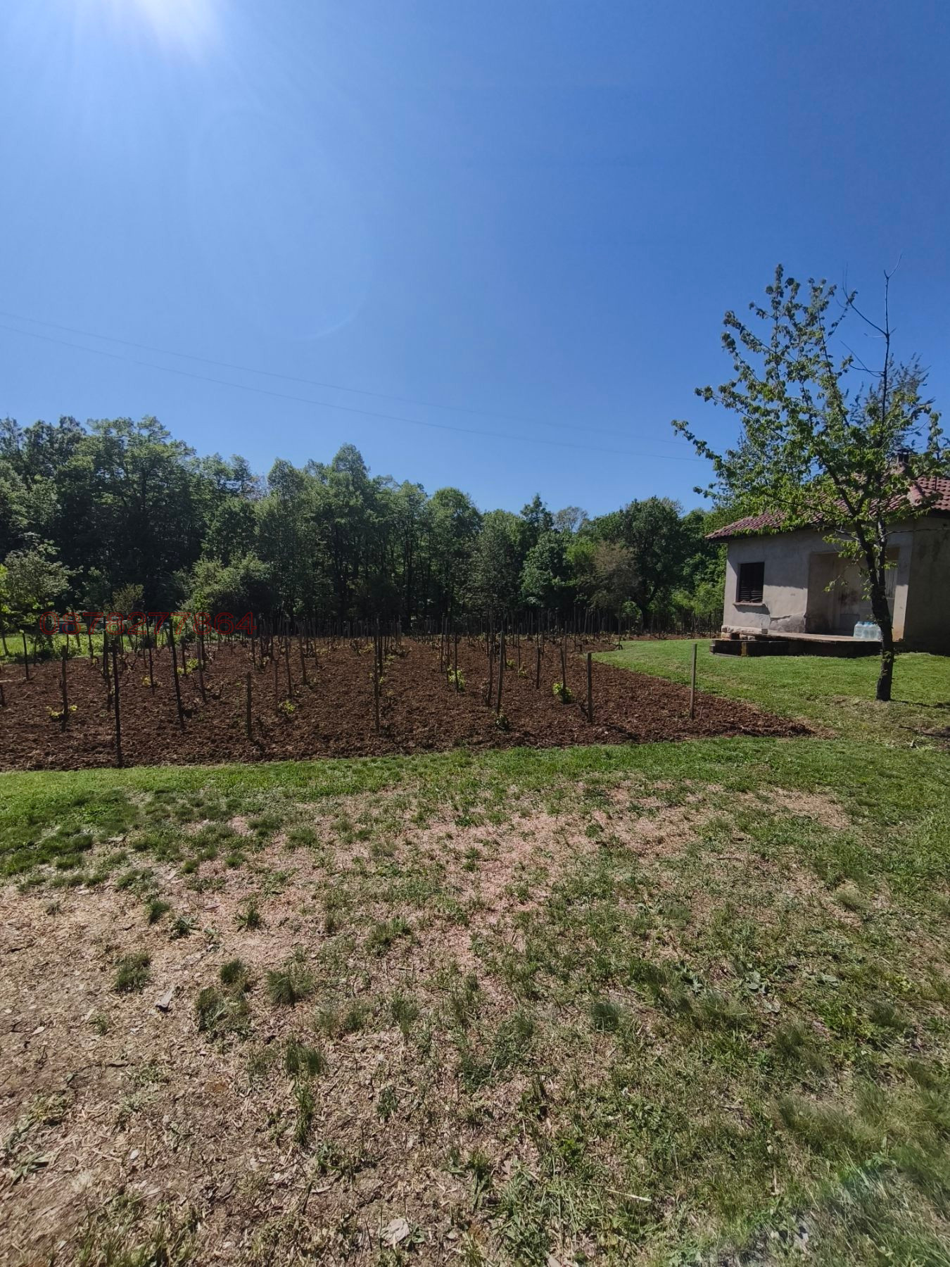 Продава ВИЛА, с. Веслец, област Враца, снимка 17 - Вили - 54333416