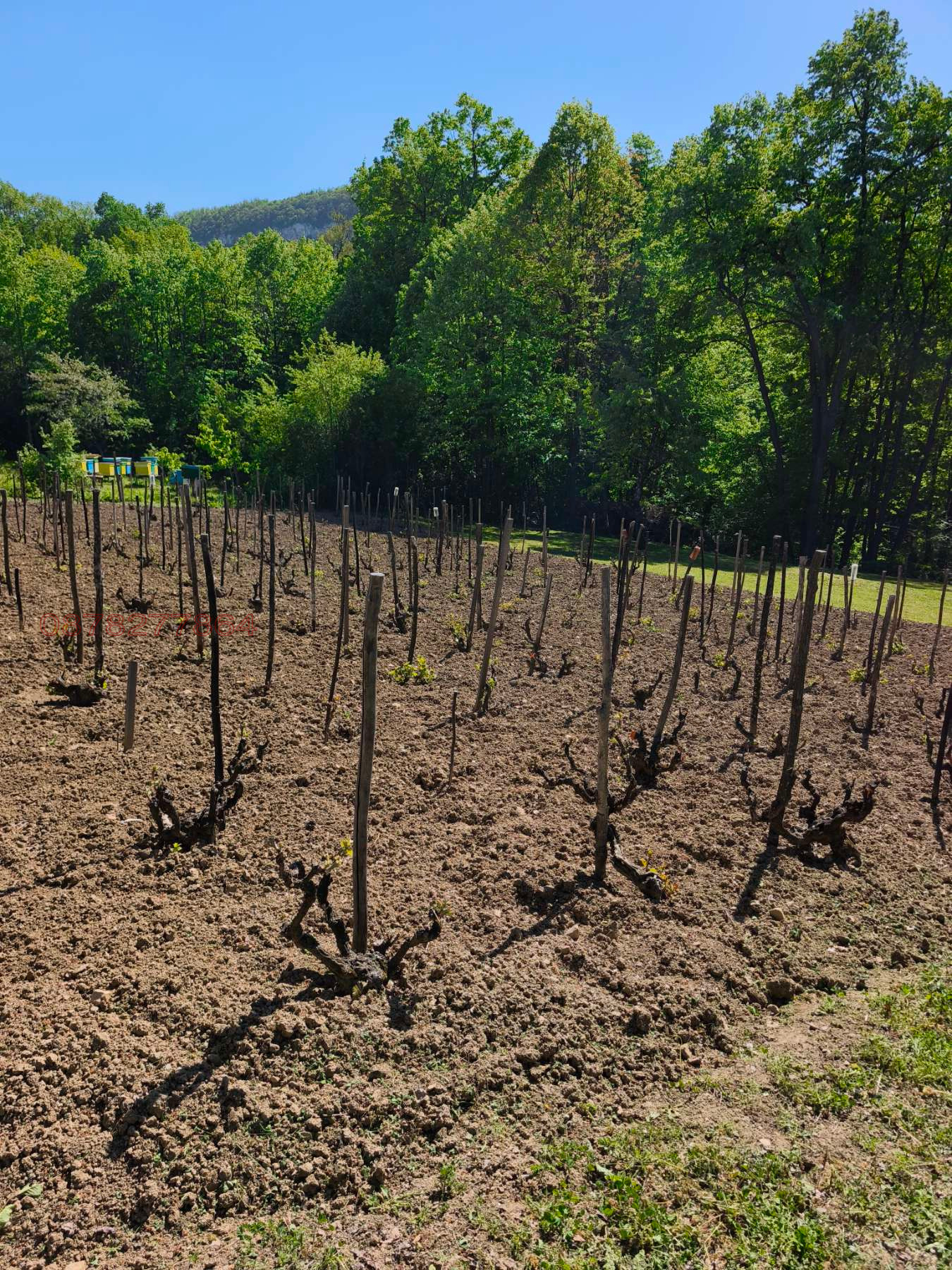 Продава ВИЛА, с. Веслец, област Враца, снимка 8 - Вили - 54333416