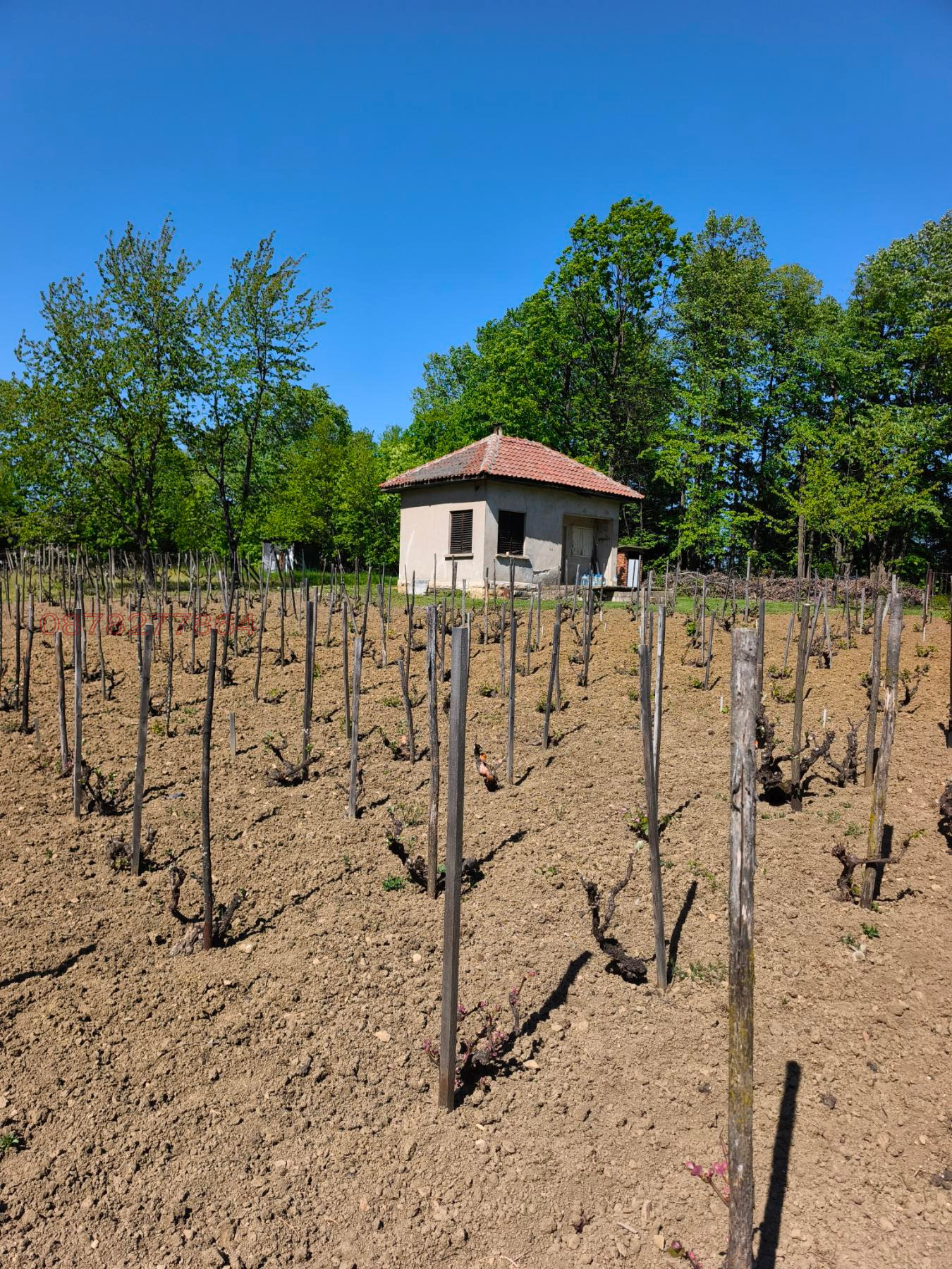 Продава ВИЛА, с. Веслец, област Враца, снимка 15 - Вили - 54333416