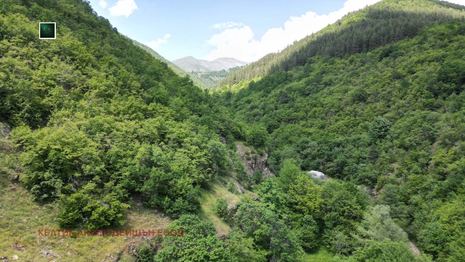 Продава ПАРЦЕЛ, с. Пастра, област Кюстендил, снимка 4 - Парцели - 54713102