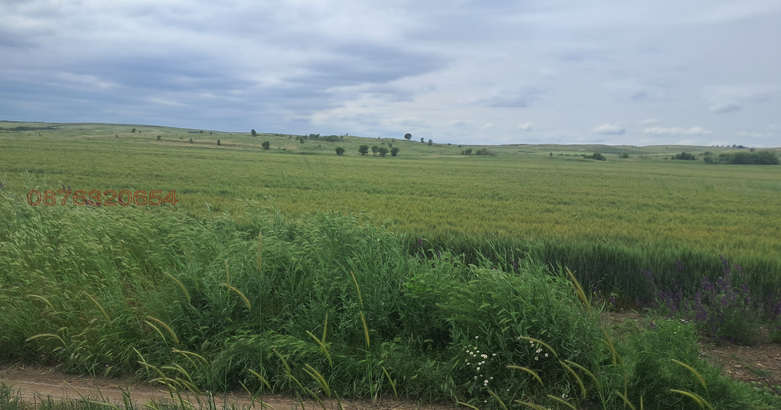 ������� ���� | Imot.bg � ����������� 3