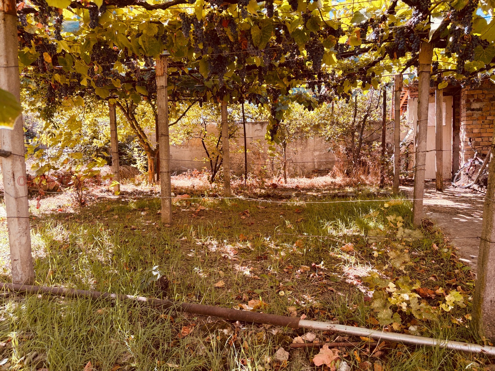 ������� ���� | Imot.bg � ����������� 5