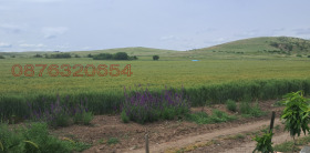 ������� ���� | Imot.bg � ����� ������ 4
