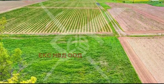 Na prodej  Spiknutí oblast Plovdiv , Saedinenie , 21000 m2 | 74706939
