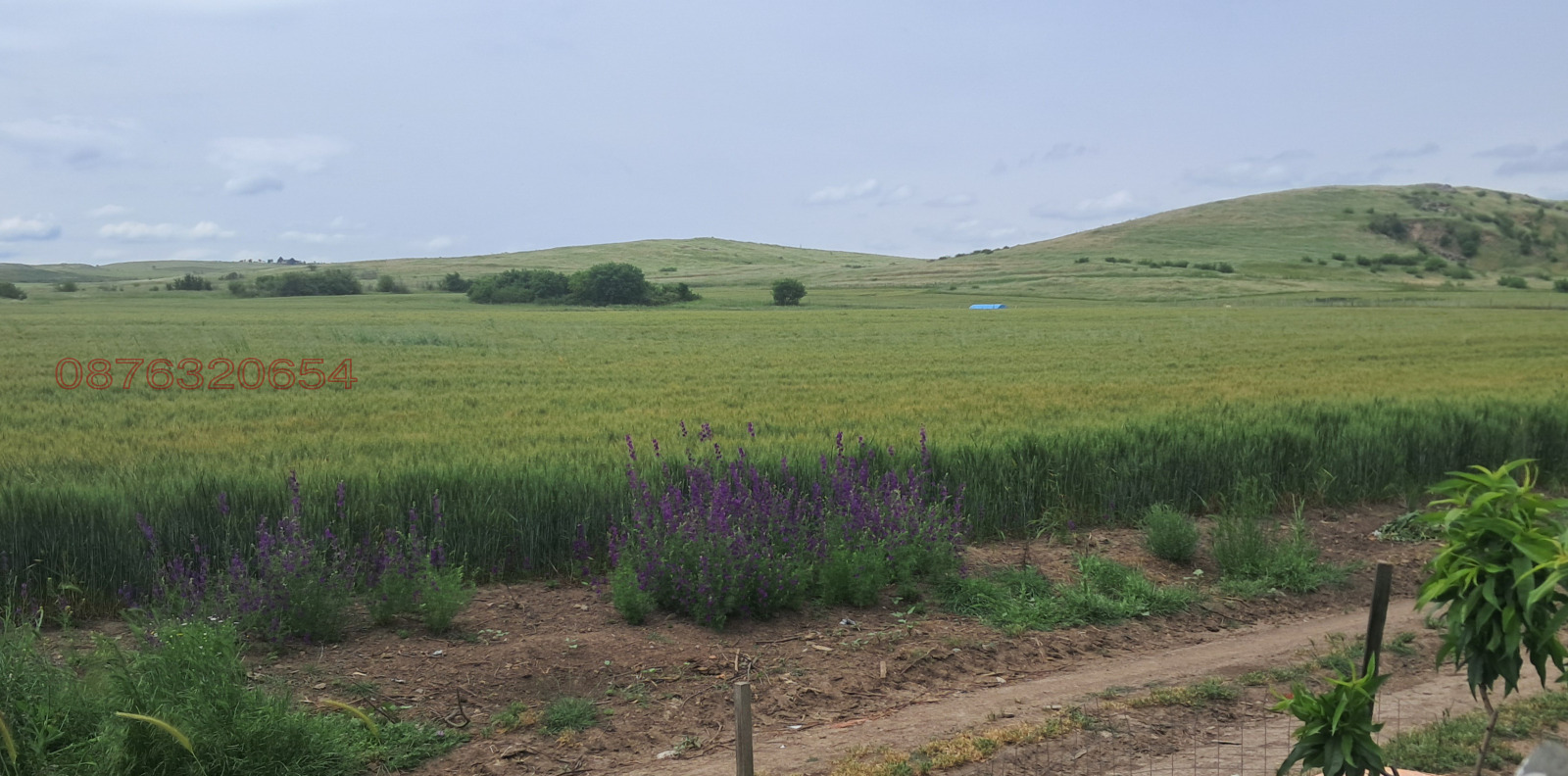 Продава КЪЩА, гр. Бургас, Черно море, снимка 4 - Къщи - 56117628