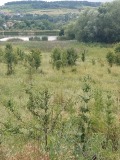 Продава ПАРЦЕЛ, гр. София, с. Мърчаево, снимка 2