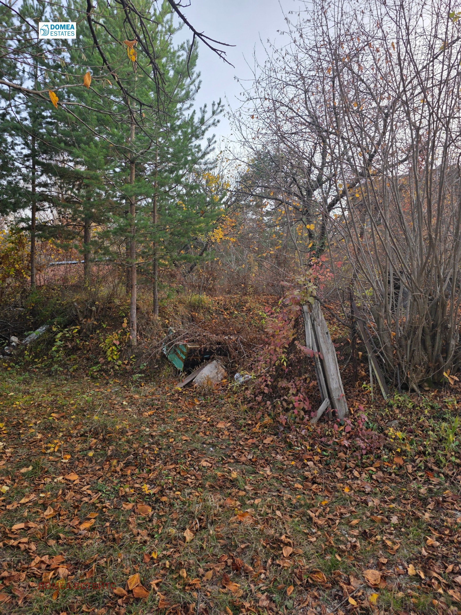 ������� ������ | Imot.bg � ����������� 5