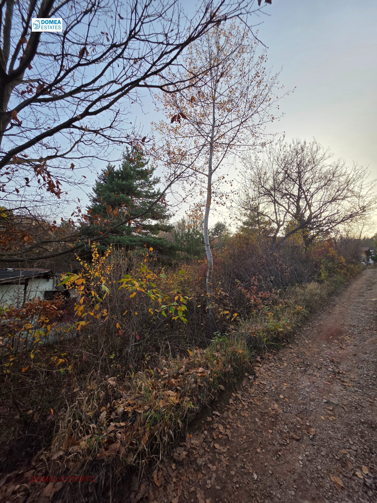 ������� ������ | Imot.bg � ����������� 4