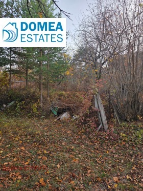 ������� ������ | Imot.bg � ����� ������ 5