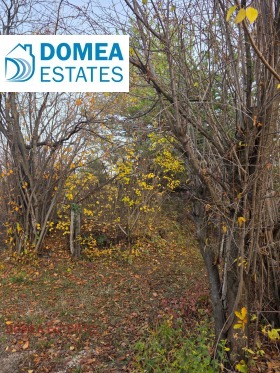 ������� ������ | Imot.bg � ����� ������ 6