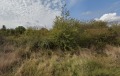 Продава ПАРЦЕЛ, град Варна, м-т Боровец - север • 125000 € • 66035823 — Holmes.bg