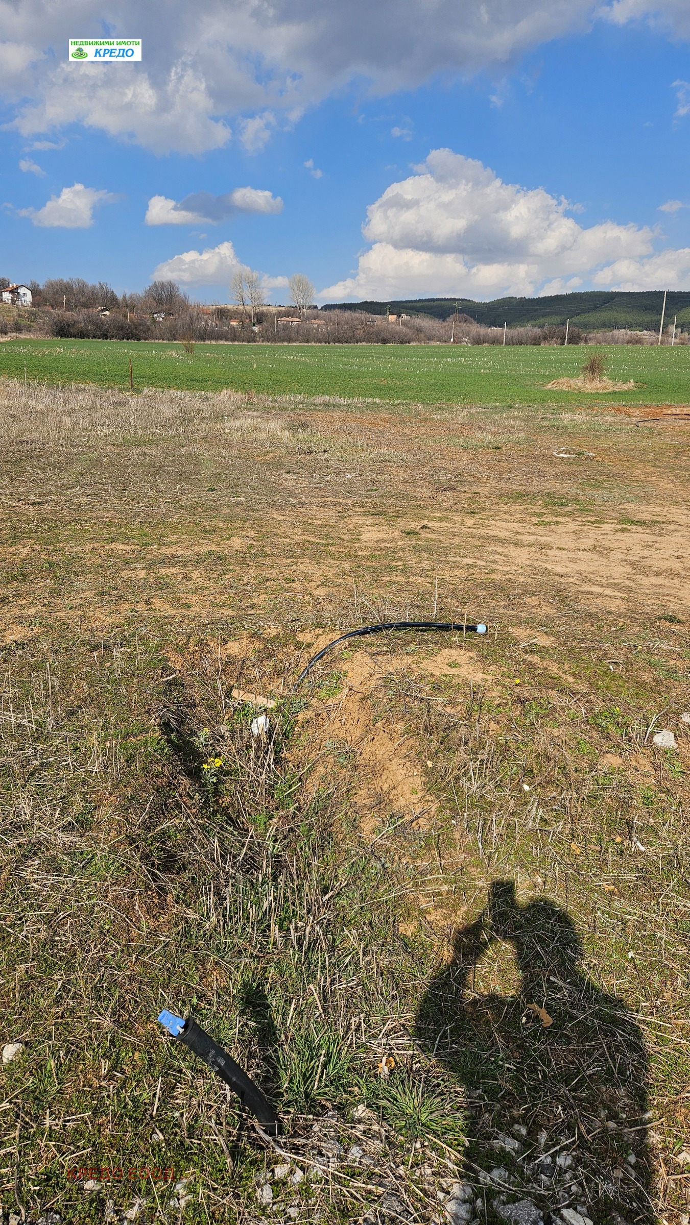 ������� ������ | Imot.bg � ����������� 1