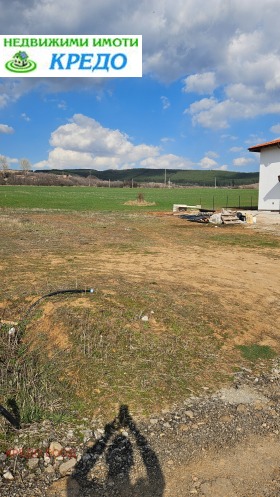 ����� ������� ������,�. ����� ������, ������ ������