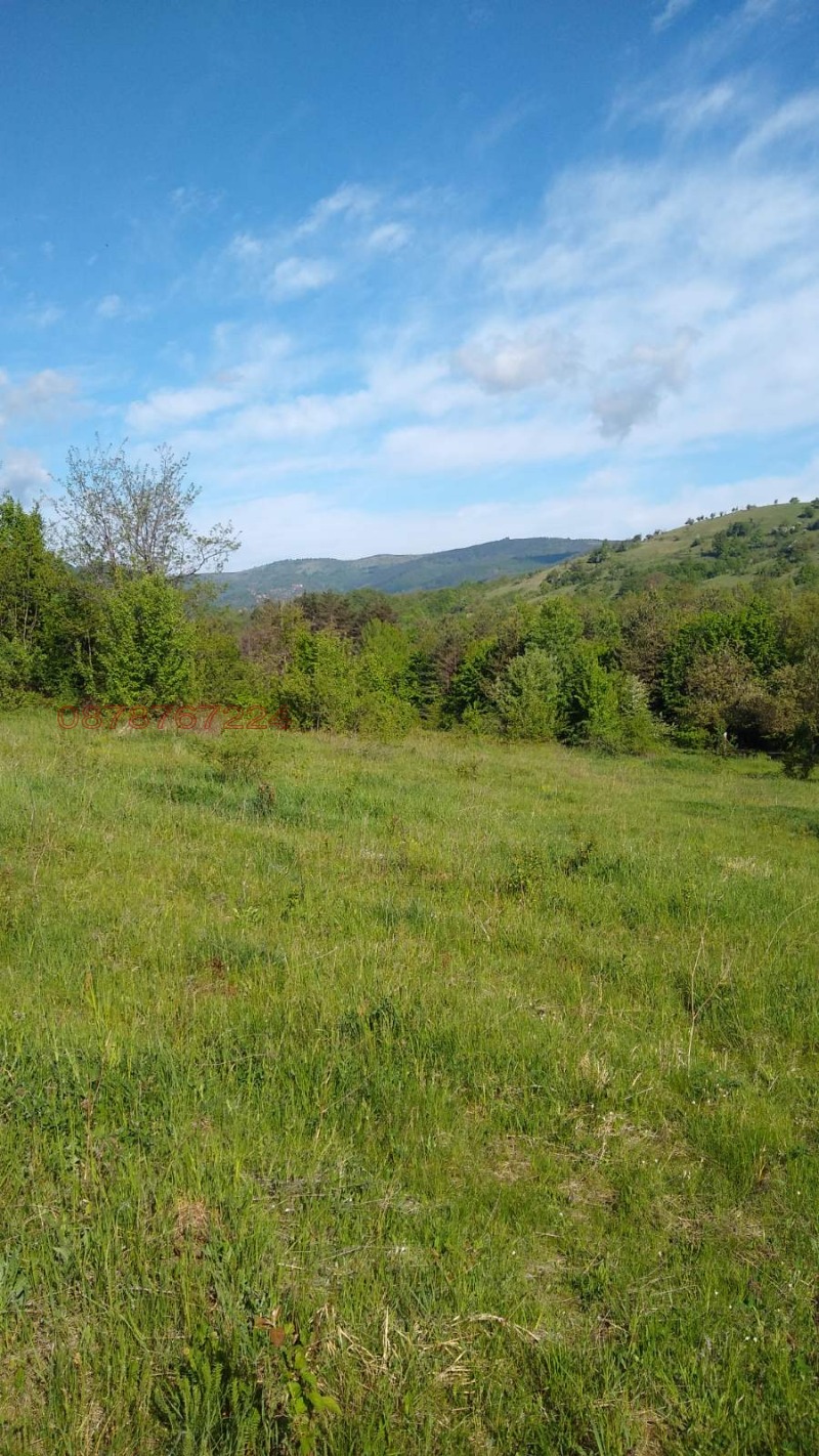 Продава ПАРЦЕЛ, с. Горно трапе, област Ловеч, снимка 3 - Парцели - 53068649