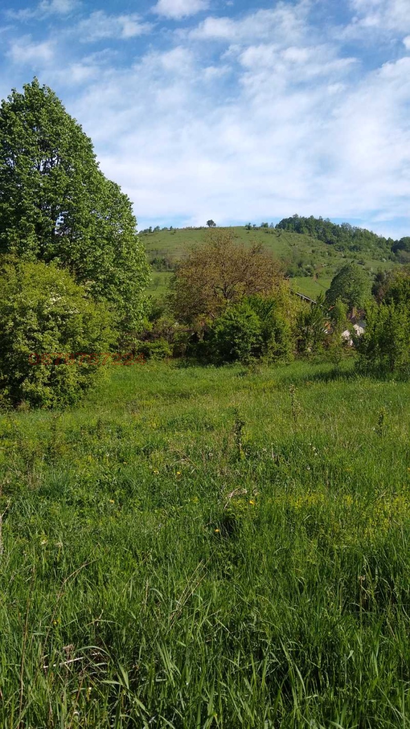 Продава ПАРЦЕЛ, с. Горно трапе, област Ловеч, снимка 7 - Парцели - 53068649