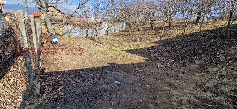 Продава ПАРЦЕЛ, с. Сапарево, област Кюстендил, снимка 3 - Парцели - 52962718