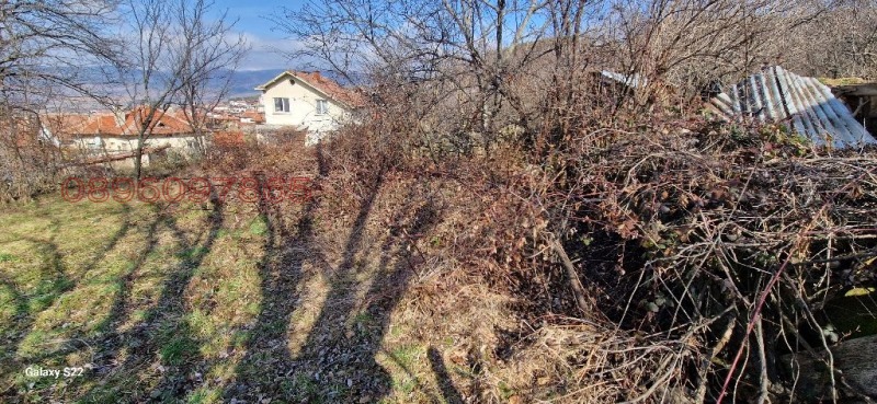 Продава ПАРЦЕЛ, с. Сапарево, област Кюстендил, снимка 12 - Парцели - 52962718