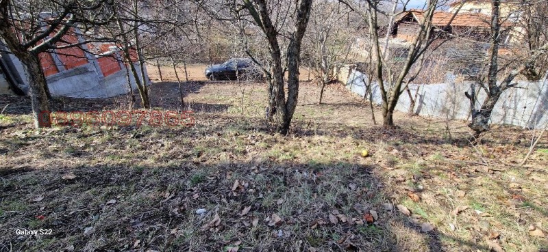 Продава ПАРЦЕЛ, с. Сапарево, област Кюстендил, снимка 6 - Парцели - 52962718