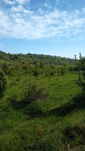 Продава ПАРЦЕЛ, с. Горно трапе, област Ловеч, снимка 4