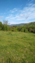 Продава ПАРЦЕЛ, с. Горно трапе, област Ловеч, снимка 3