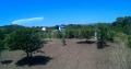 Продава ПАРЦЕЛ, гр. Обзор, област Бургас, снимка 2