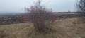 Продава ЗЕМЕДЕЛСКА ЗЕМЯ, с. Храбърско, област София област, снимка 2