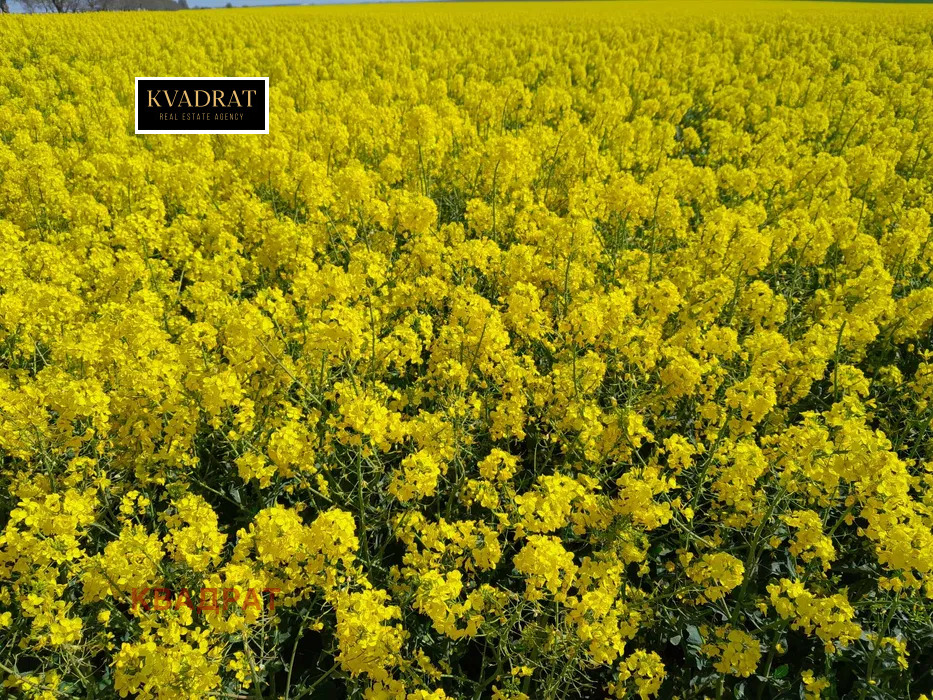 ������� ������ | Imot.bg � ����������� 2