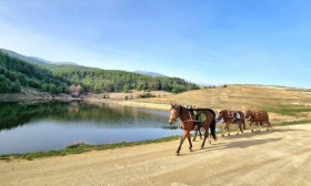 ������� ������ | Imot.bg � ����� ������ 5