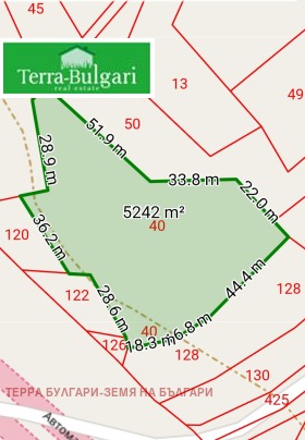 ����� ������� ������,�. ������ ������, ������ ������