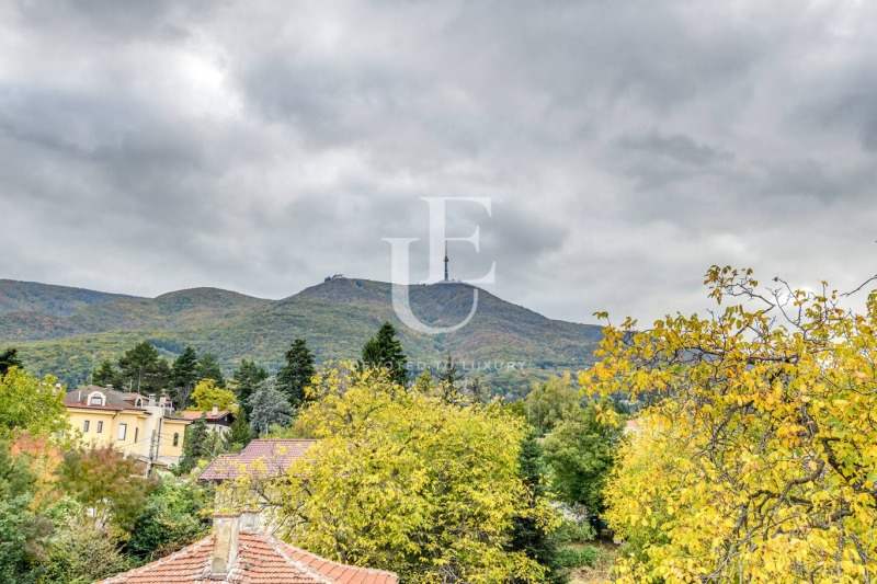 Продава КЪЩА, гр. София, Бояна, снимка 14 - Къщи - 53348135