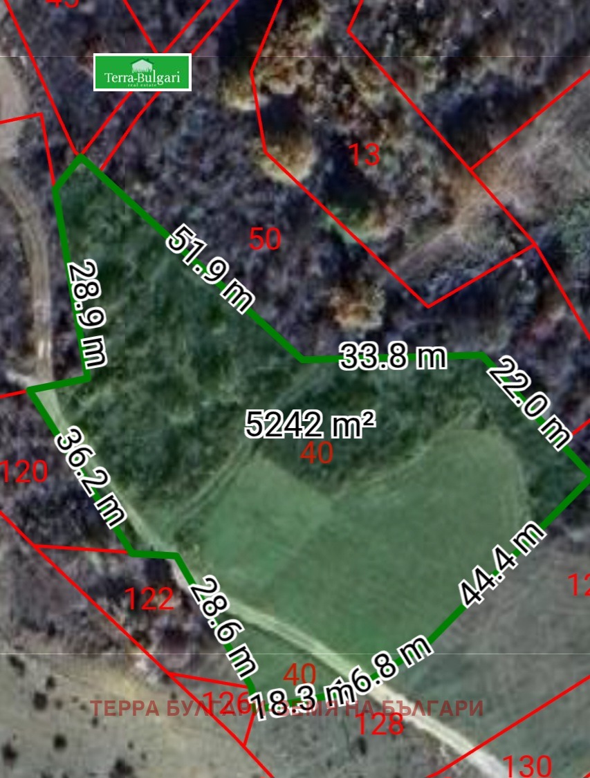 Продава ПАРЦЕЛ, с. Големо Бучино, област Перник, снимка 2 - Парцели - 54347867