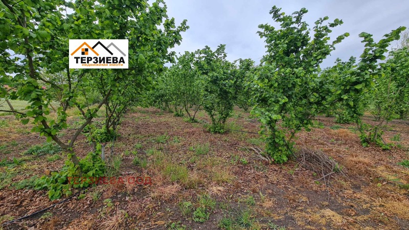 Продава ПАРЦЕЛ в област Стара Загора, с. Пъстрен - 1200 кв.м / 8 500 € » 16 624.56 лв., ТЕРЗИЕВА ООД