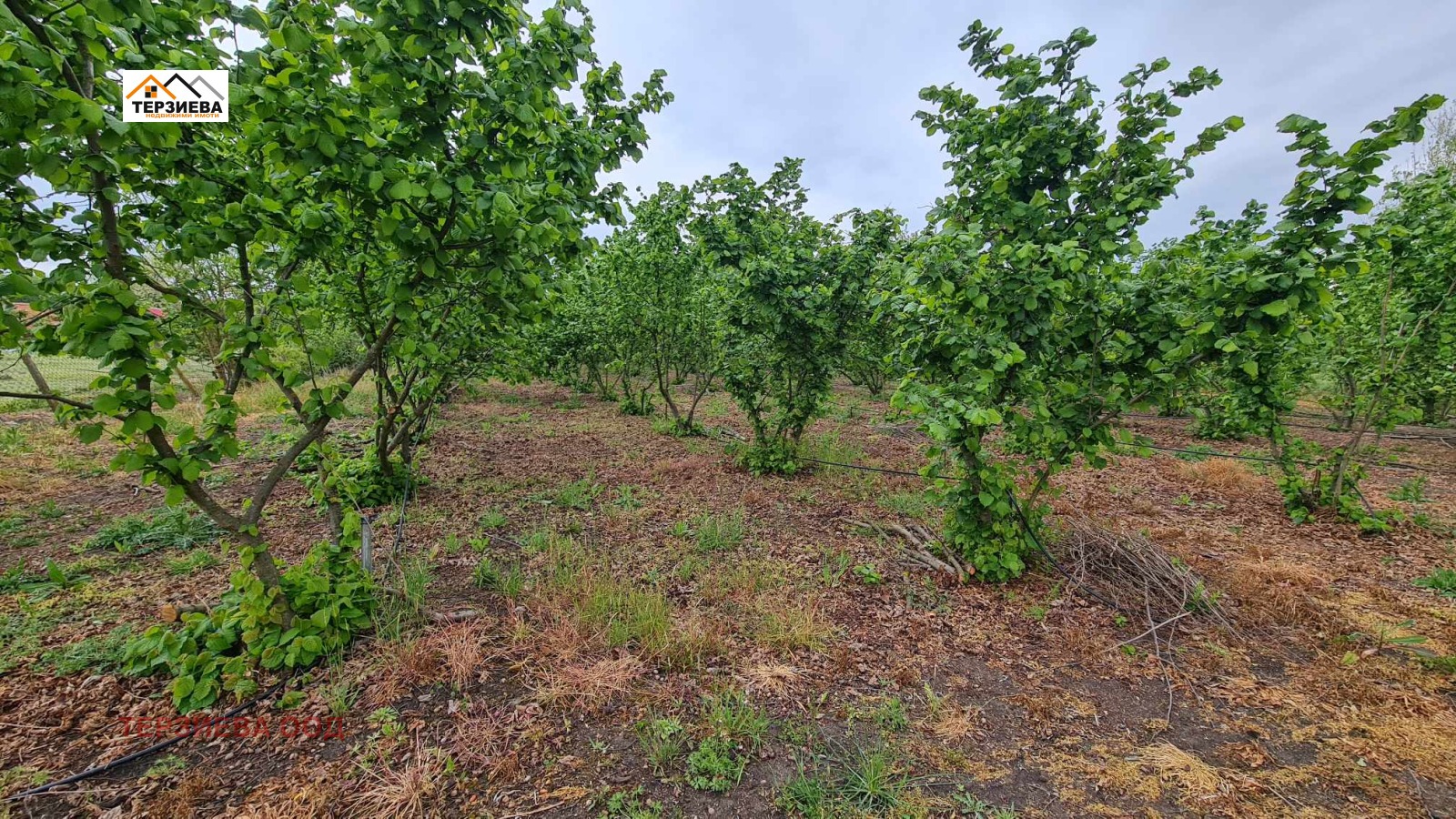 Продава ПАРЦЕЛ | Imot.bg — изображение 1